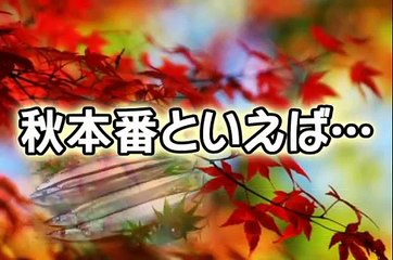 GII共同通信社杯秋本番特集1　 グラドル秋の大運動会でポロリ!?