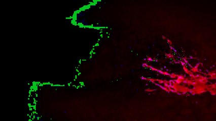 『ヴァンパイア騎士－Revive－』Supported by 青山メインランド