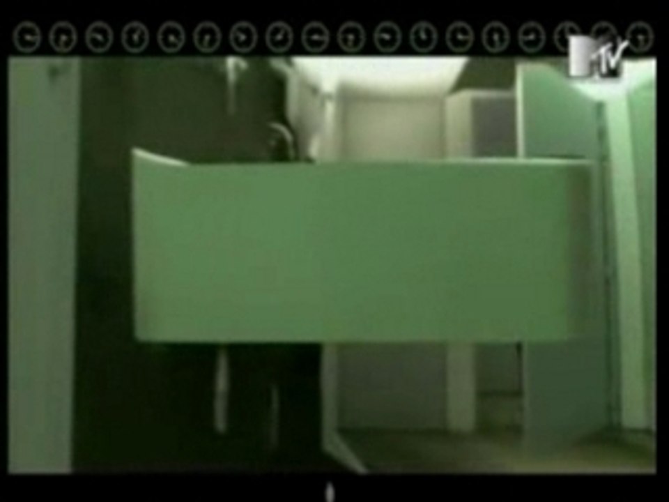 The Divine comedy-Billy Bird