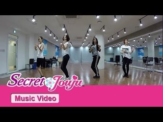 시크릿 쥬쥬 - 시크릿 플라워 'Summer Fun'  안무영상 [SECRET JOUJU DANCE]