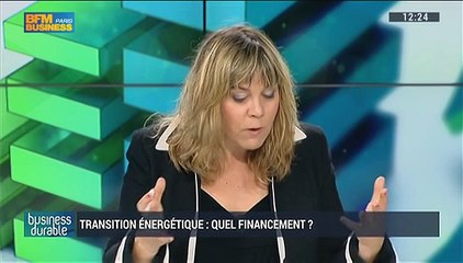 Comment financer la transition énergétique ?: Serge Lepeltier, Bernard Aulagne, Frédéric Lanoë et Fabrice Domange (3/4) – 05/07