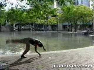 Acrobates impressionnants!!!