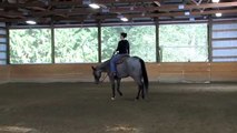 AQHA Western Pleasure Training1