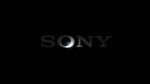 FAKE Sony/PlayStation 4 Logo/Startup Screen