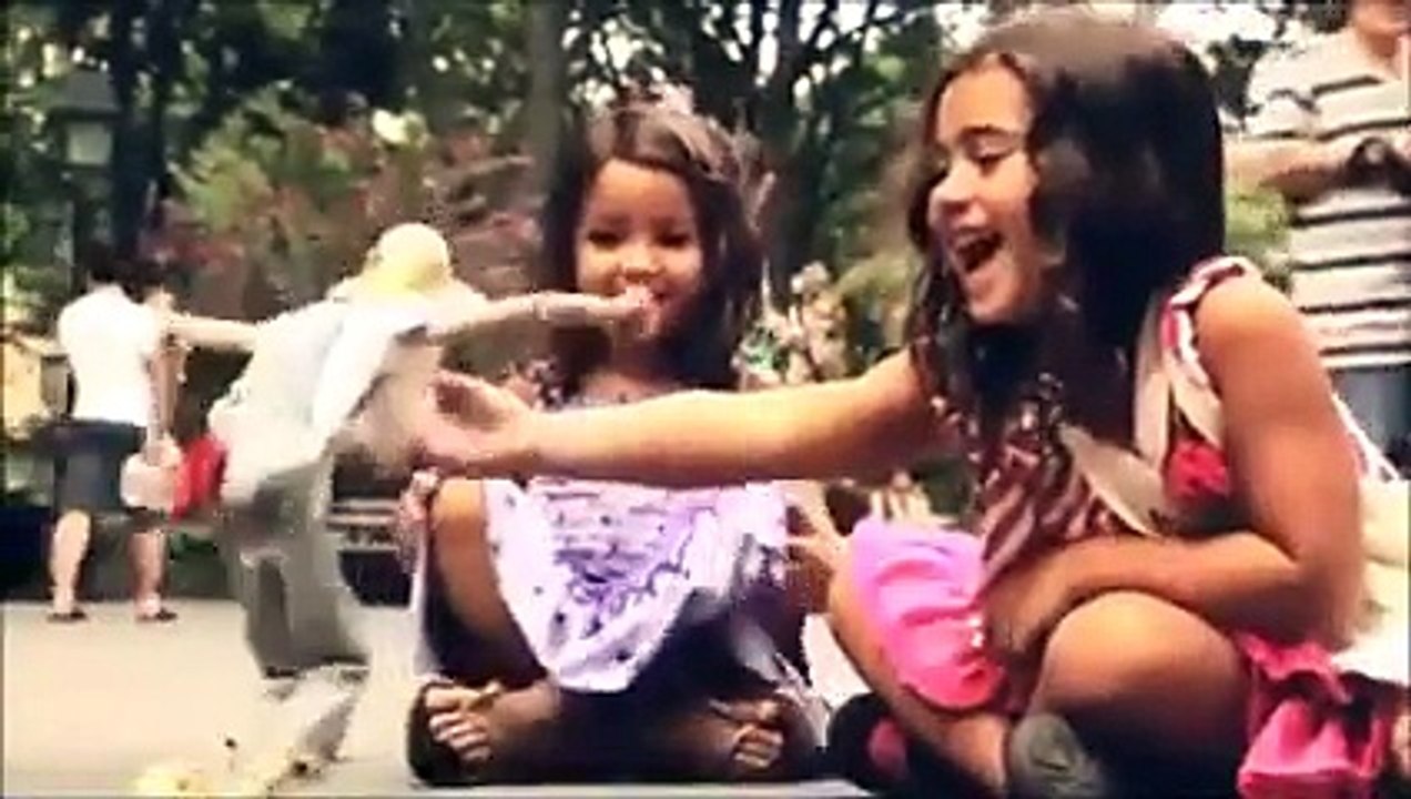 A Road side Puppet Show.