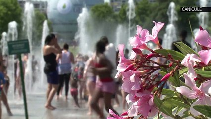 AFP - Le JT, 1ère édition du dimanche 5 juillet