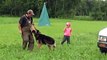 Child Trains German Shepherd to Jump Car