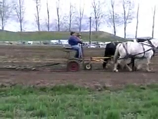 Horse Farming