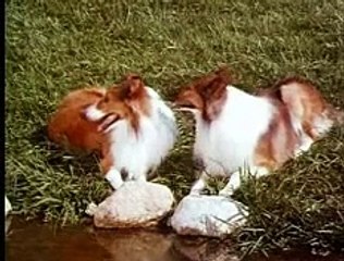 Lassie - The Miracle (1970) Pt 2