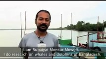 Whales and Dolphins Of Sundarban.mp4