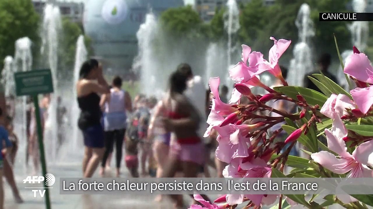AFP - Le JT, 1ère édition du dimanche 5 juillet (version sous-titrée)