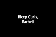 Everlast Fitness How To: Bicep Curls With Barbell