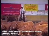 RDVideo - Something Peppy - Quarter Horse stallion (1984)