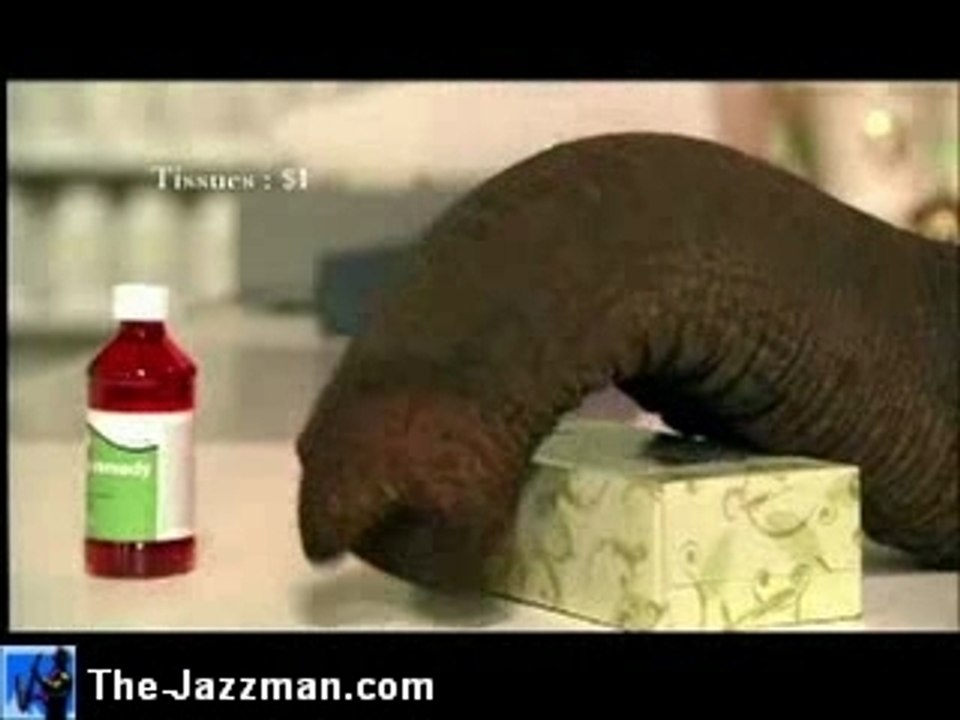 Priceless Elephant