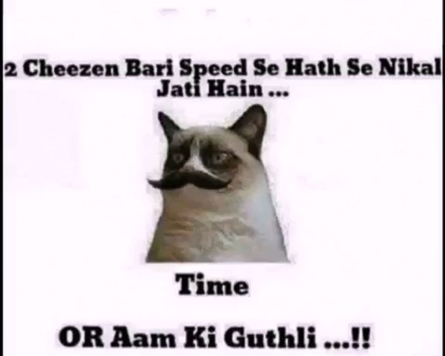 Funny Jokes!!