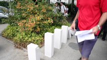 7 000 dominos tombent à Rennes