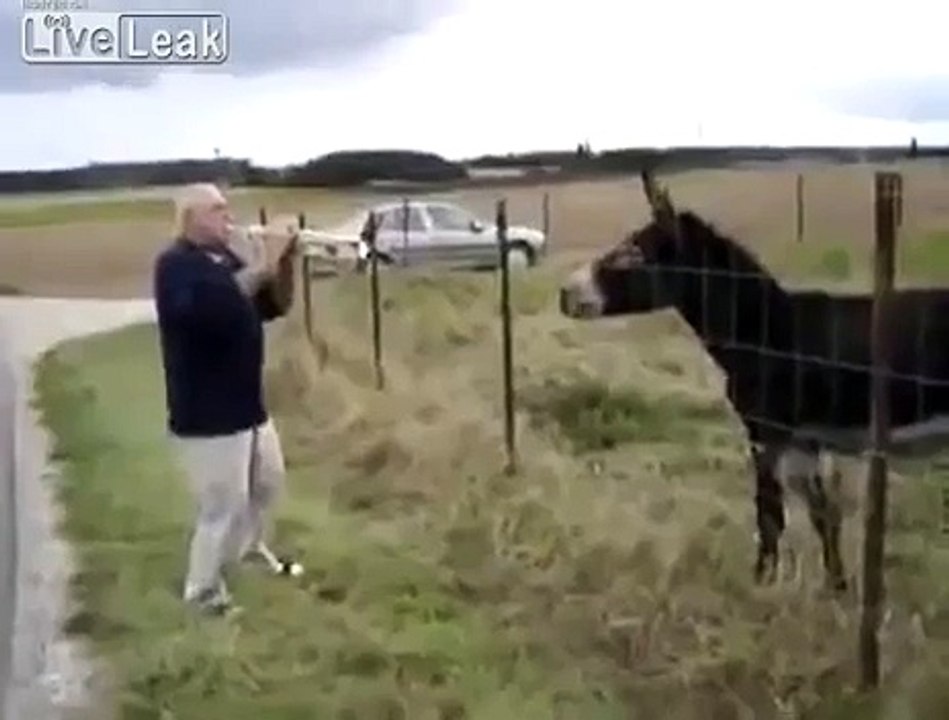 Man Verses Singing Donkey