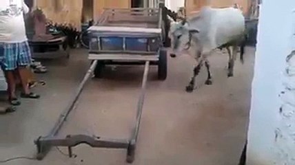 This is really Amazing ... (3)