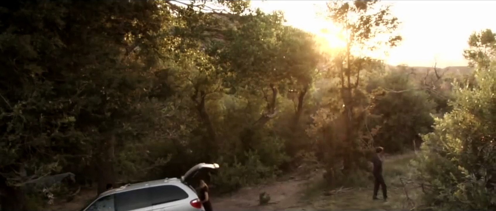Bear - Official HD Trailer