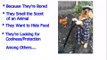★★★★ How To Train Your Dog To Stop Digging { START NOW! } Keep A Dog From Digging :))))