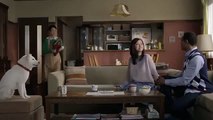 Japanese Doge Softbank Commercial (1)