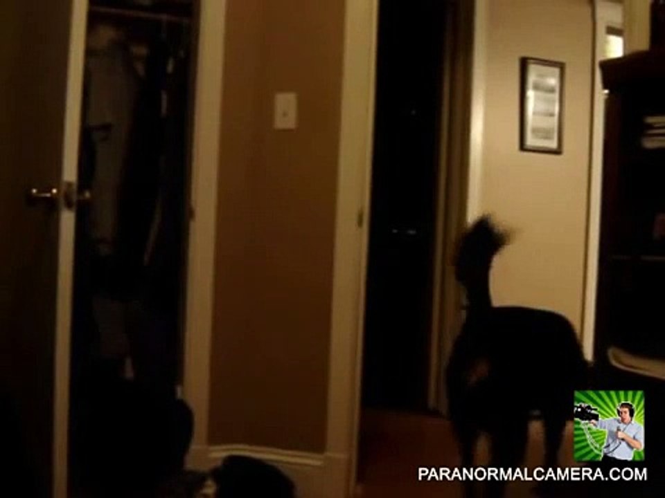 Scary videos - scary ghost caught on tape in my house _ Ghost caught on tape & real scary videos-sCh83o8FH3g