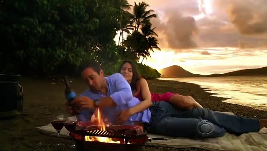 Steve & Catherine / Hawaii Five-0