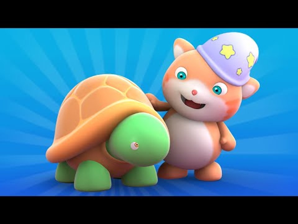 Looi the cat - colorful Turtle present, for kids - video Dailymotion