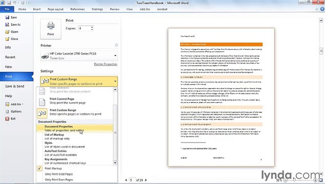 MS Word Setting print options