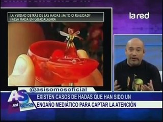 La verdad detrás de las hadas
