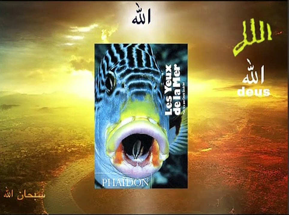 miracle d'Allah dans l'univers معجزة الله في الكون