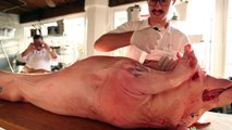 ChefSteps & The Pig