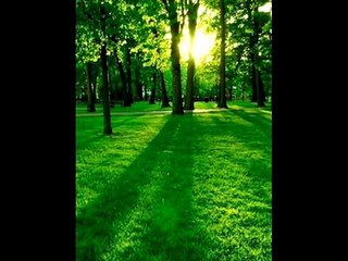 Expressions - Helen Jane Long