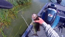 Shallow Water Bass Fishing with Jigs Minnesota Style