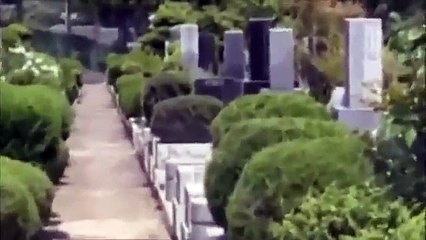 日本灵异录影汇集（15）。Japanese ghost footage compilation 15