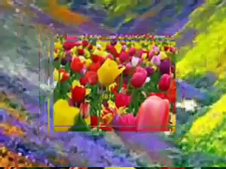 De Colores with Lyrics
