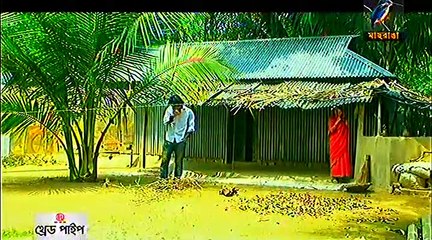 Understanding MOHO (Model of Human Occupation)