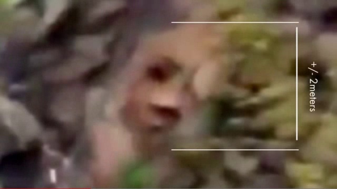 Le visage mystérieux dans les îles Canadienne ?