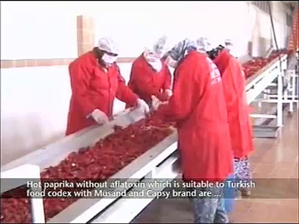 MUSAN - MÜSAN Gıda - Food - Gewurze Microwave Drying Factory