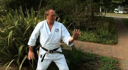 Unbelievable Karate Master - Sensei Paul Perry