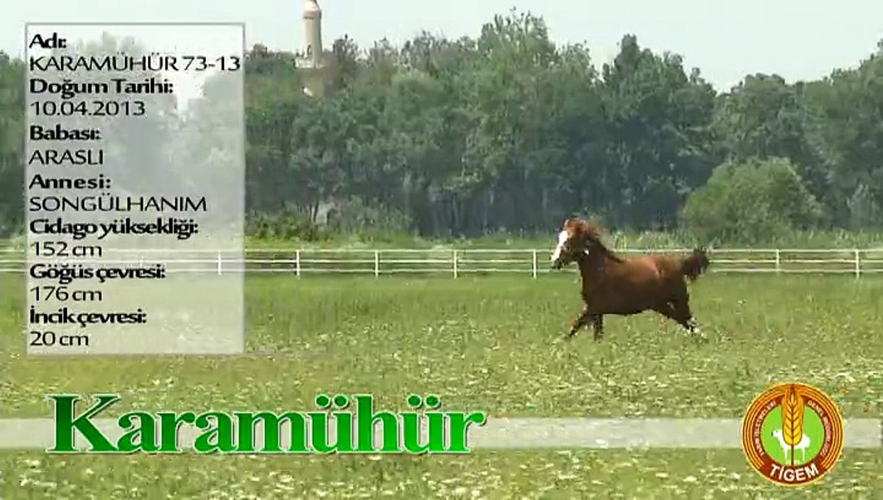 KARAMÜHÜR