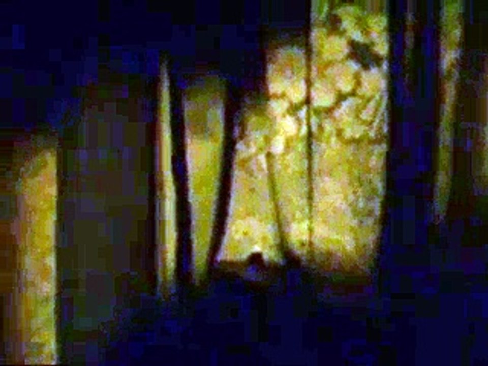 20100509隣の家の音