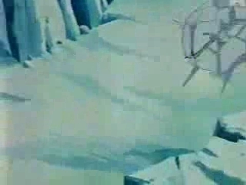 COMBAT C-13