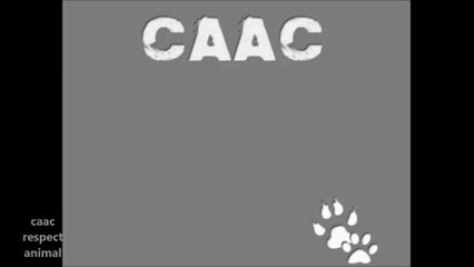 manifestation contre la ferme usine des milles veaux la courtine 4 juillet 2015 3