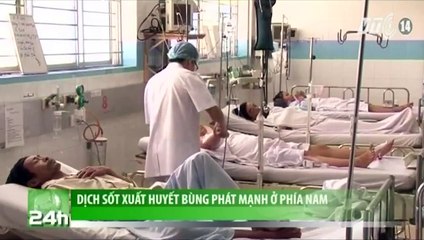 Soffell - Dịch sốt xuất huyết bùng phát mạnh ở phía Nam