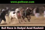 Bull Race Dadyal Azad Kashmir 22 Feb 2012