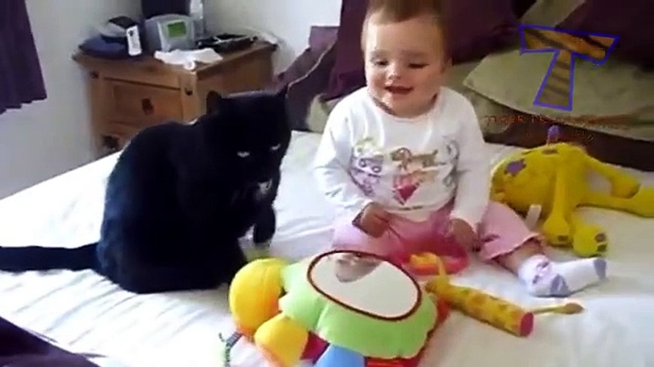 funny-cats-and-babies-playing-together-cute-cat-baby-compilation(YouPlay.PK)
