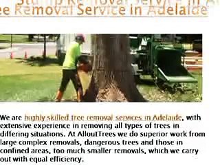 Tree Removal Services in Adelaide