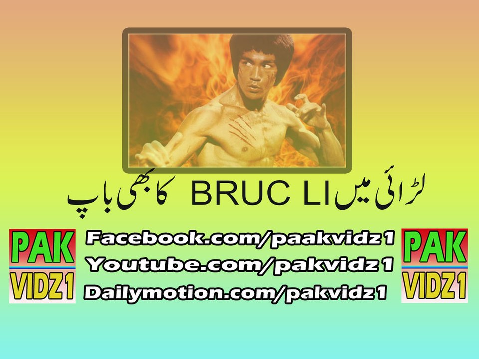 Fight Of Bruc Li