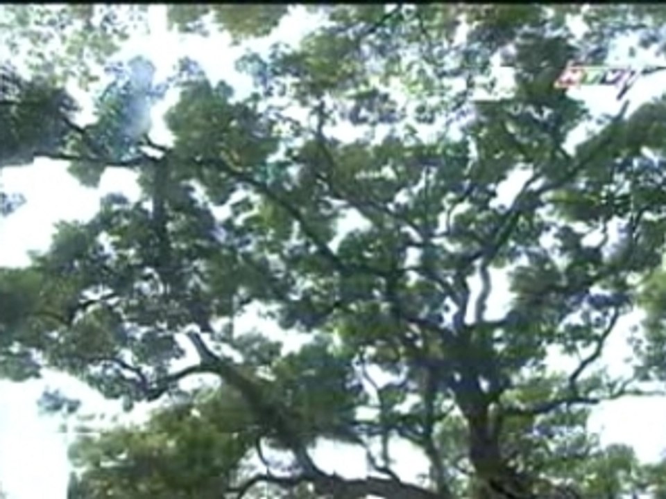 Film4vn.eu-TinhcoTap11_chunk_2